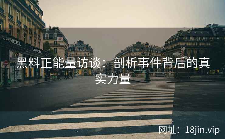 黑料正能量访谈：剖析事件背后的真实力量