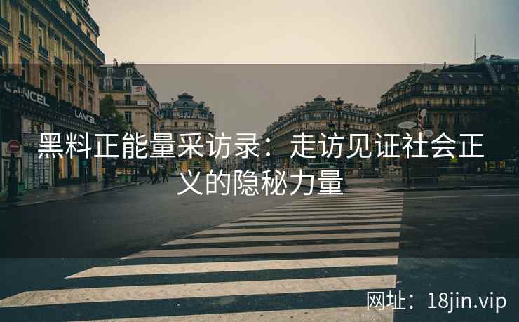 黑料正能量采访录：走访见证社会正义的隐秘力量