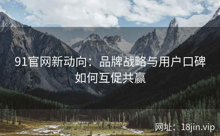 91官网新动向：品牌战略与用户口碑如何互促共赢