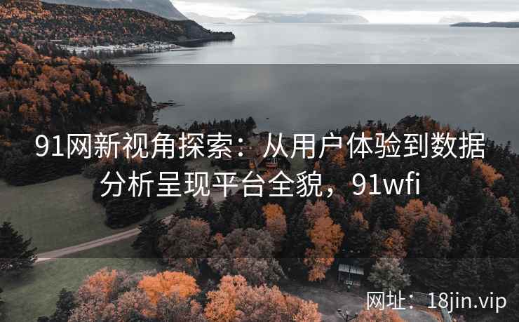 91网新视角探索：从用户体验到数据分析呈现平台全貌，91wfi