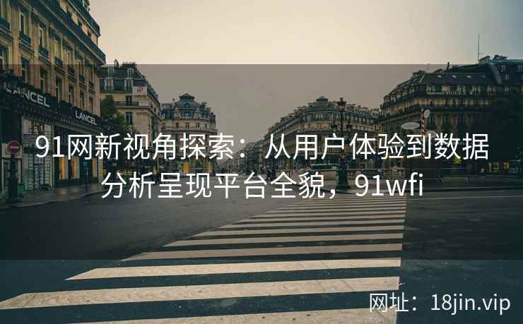 91网新视角探索：从用户体验到数据分析呈现平台全貌，91wfi