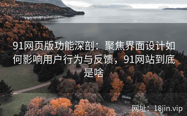 91网页版功能深剖：聚焦界面设计如何影响用户行为与反馈，91网站到底是啥