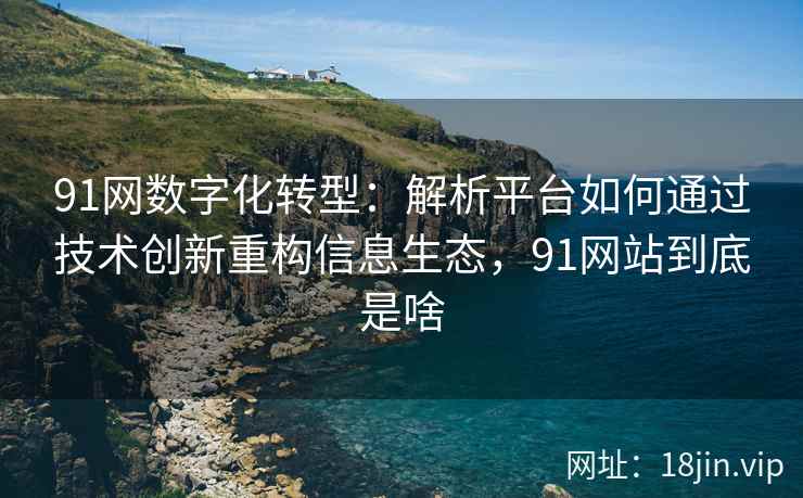 91网数字化转型：解析平台如何通过技术创新重构信息生态，91网站到底是啥