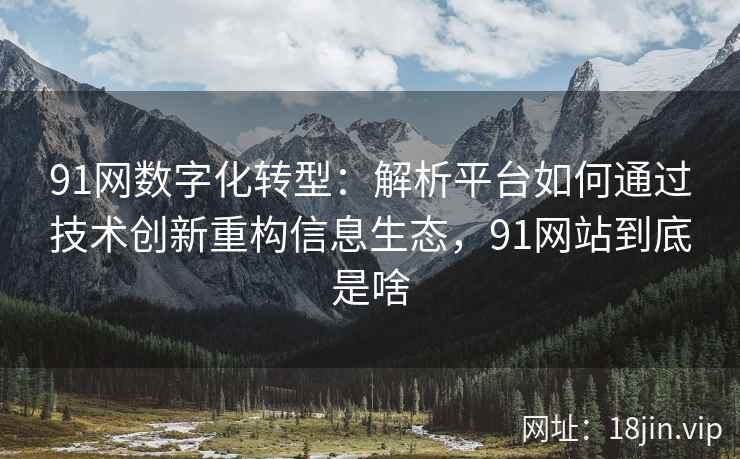 91网数字化转型：解析平台如何通过技术创新重构信息生态，91网站到底是啥