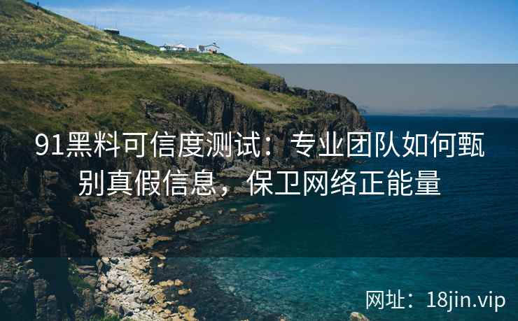 91黑料可信度测试：专业团队如何甄别真假信息，保卫网络正能量