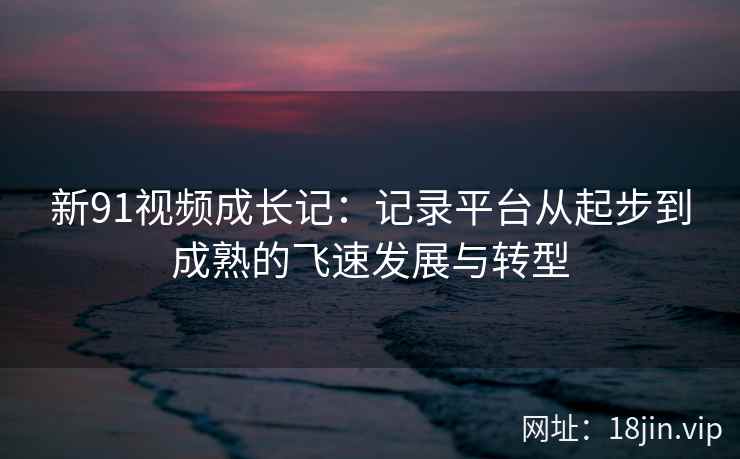 新91视频成长记：记录平台从起步到成熟的飞速发展与转型