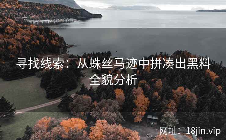 寻找线索：从蛛丝马迹中拼凑出黑料全貌分析