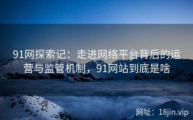 91网探索记：走进网络平台背后的运营与监管机制，91网站到底是啥