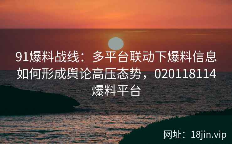 91爆料战线：多平台联动下爆料信息如何形成舆论高压态势，020118114爆料平台