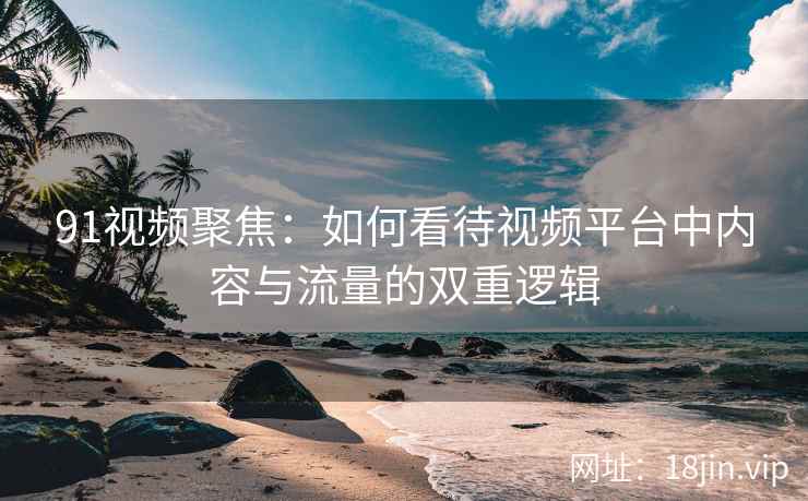 91视频聚焦：如何看待视频平台中内容与流量的双重逻辑
