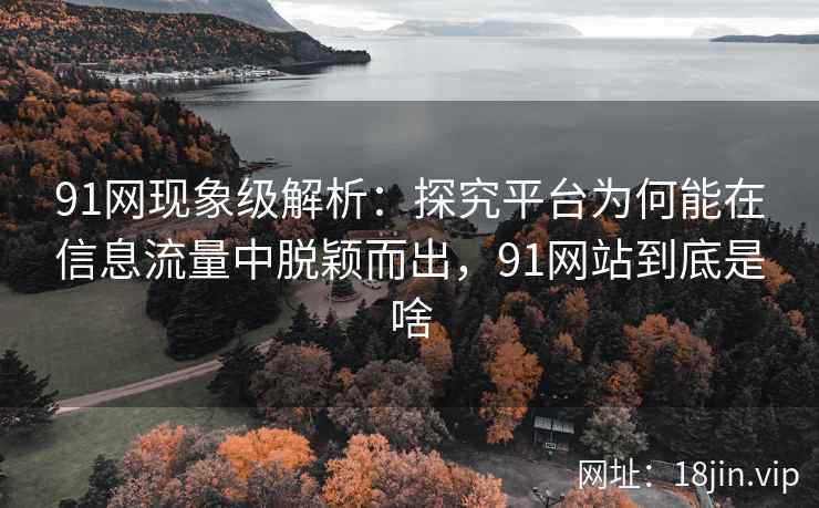 91网现象级解析：探究平台为何能在信息流量中脱颖而出，91网站到底是啥