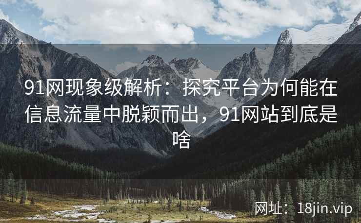 91网现象级解析：探究平台为何能在信息流量中脱颖而出，91网站到底是啥