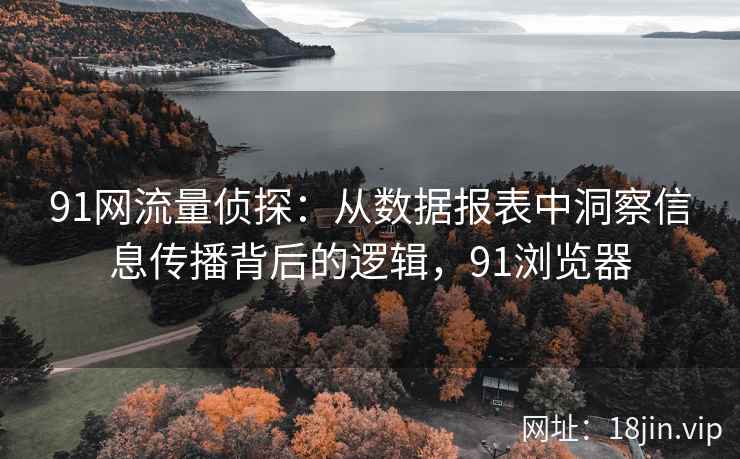 91网流量侦探：从数据报表中洞察信息传播背后的逻辑，91浏览器