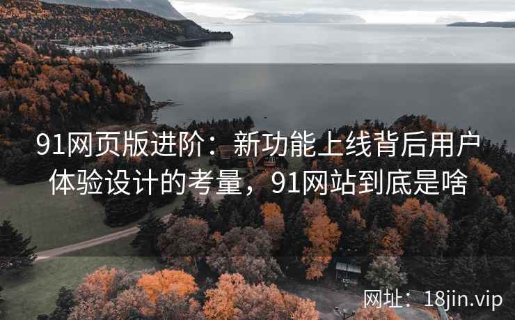 91网页版进阶：新功能上线背后用户体验设计的考量，91网站到底是啥