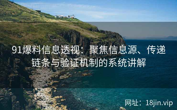 91爆料信息透视：聚焦信息源、传递链条与验证机制的系统讲解