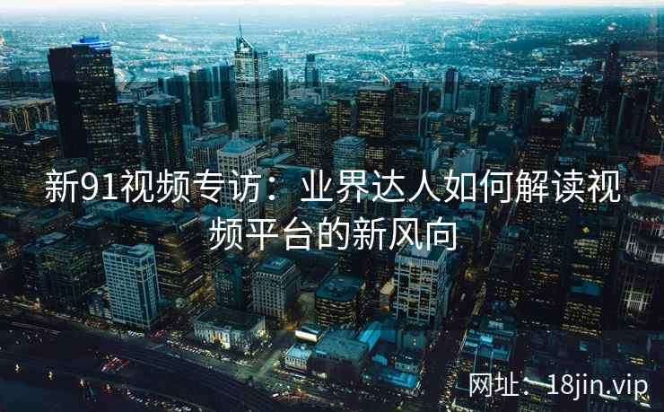 新91视频专访：业界达人如何解读视频平台的新风向
