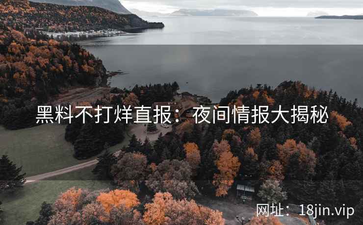 黑料不打烊直报：夜间情报大揭秘