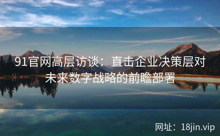 91官网高层访谈：直击企业决策层对未来数字战略的前瞻部署