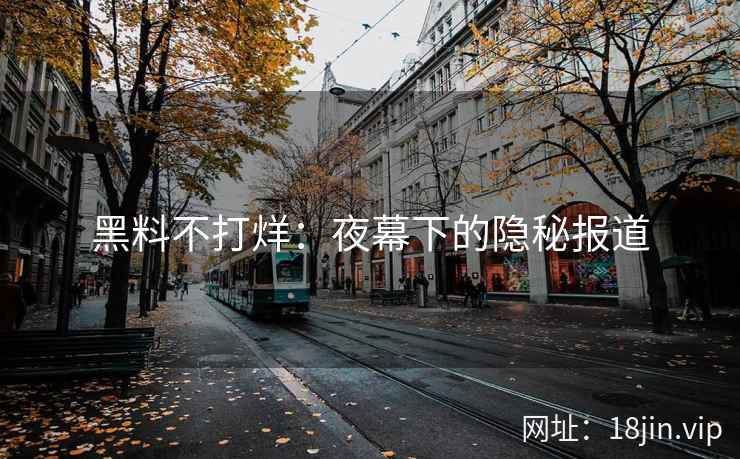 黑料不打烊：夜幕下的隐秘报道