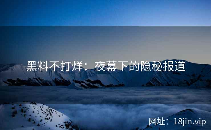 黑料不打烊：夜幕下的隐秘报道