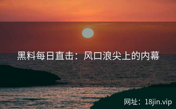 黑料每日直击：风口浪尖上的内幕