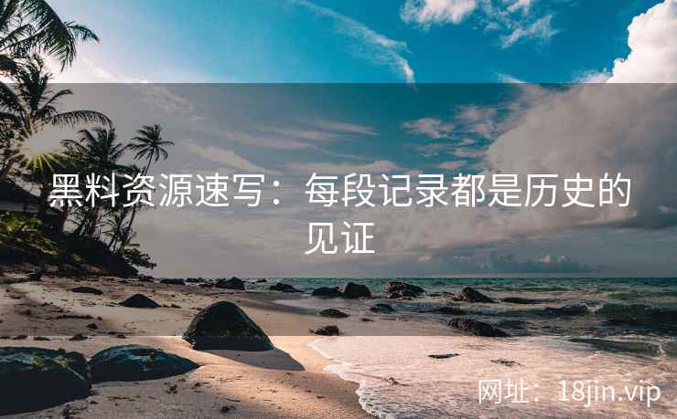 黑料资源速写：每段记录都是历史的见证